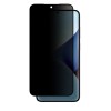 AmazingThing Radix Privacy Glass Privacy Tempered Glass for Samsung Galaxy S25+