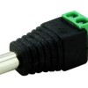 Casview Power connector male 2.1mm CBN-015