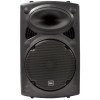 QTX QR12PA 12'' Professional Portable Karaoke & PA Speaker with 2x Wireless Microphones, Bluetooth USB & FM 178.847UK