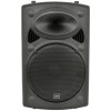 QTX QR15PA 15'' Professional Portable Karaoke & PA Speaker with 2x Wireless Microphones, Bluetooth USB & FM 178.848UK