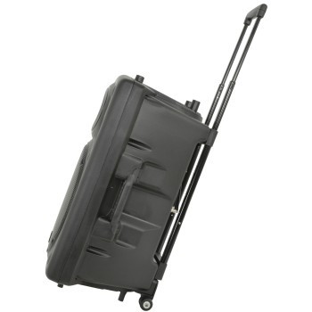 QTX QR15PA 15'' Professional Portable Karaoke & PA Speaker with 2x Wireless Microphones, Bluetooth USB & FM 178.848UK