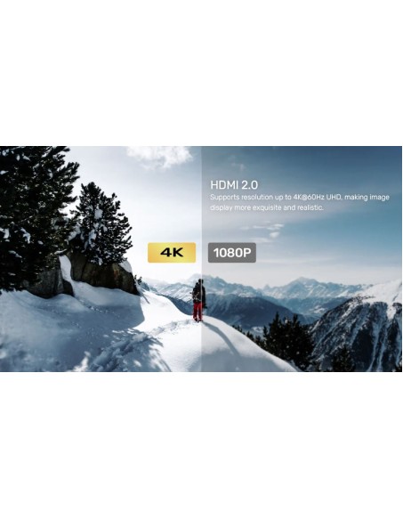 Unitek KVM HDMI 4K60Hz Switch 2-1 with 4-Port USB Hub V307A