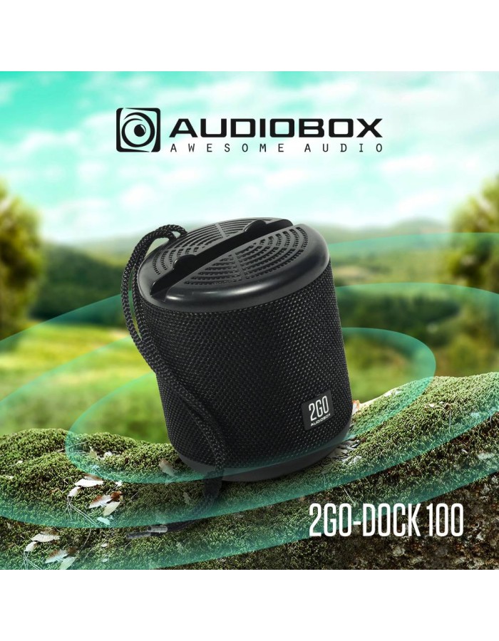 SonicGear AudioBox 2GO-Dock100 Portable BT/FM Speaker with Dock Camo