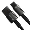 Baseus Cable USB-C to USB-A Tungsten Gold 100W 2.0m Blk Baseus Cable USB-C to USB-A Tungsten Gold 100W 2.0m Blk