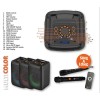 N-Gear FLASH BANGER 777 Portable Karaoke Speaker With Two Microphones