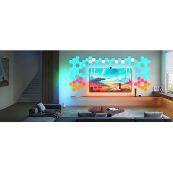 Govee TV Backlight Envisual T2 with Dual Cameras  (55-65 inch) H605C