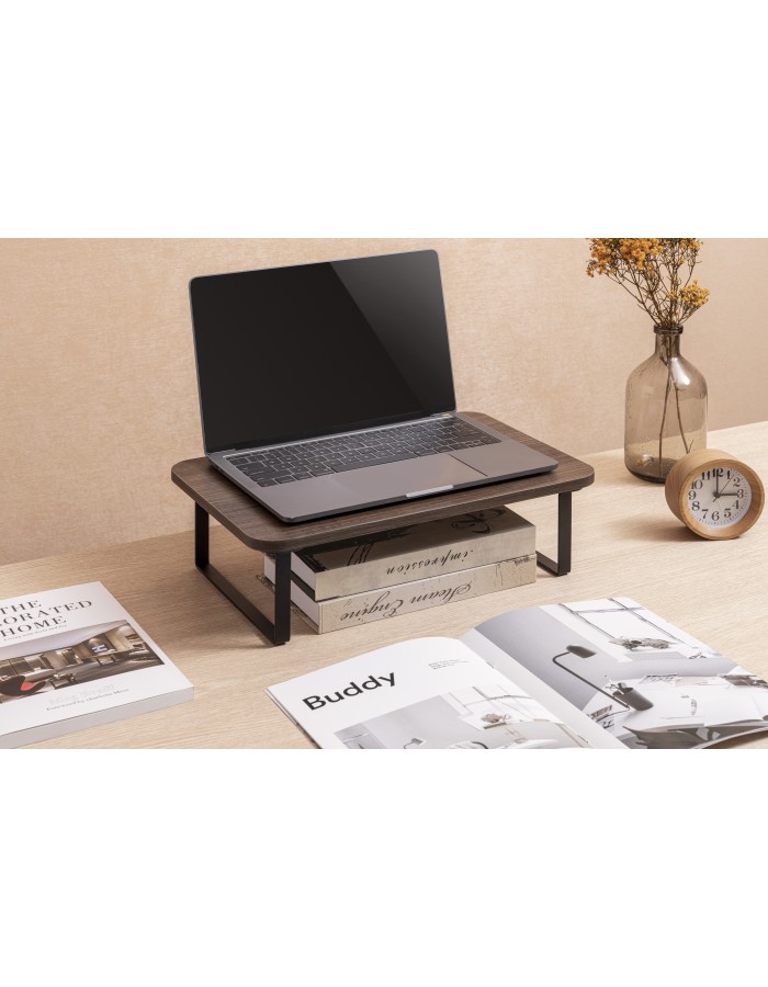 Brateck Monitor Stand Fixed STB-111-01