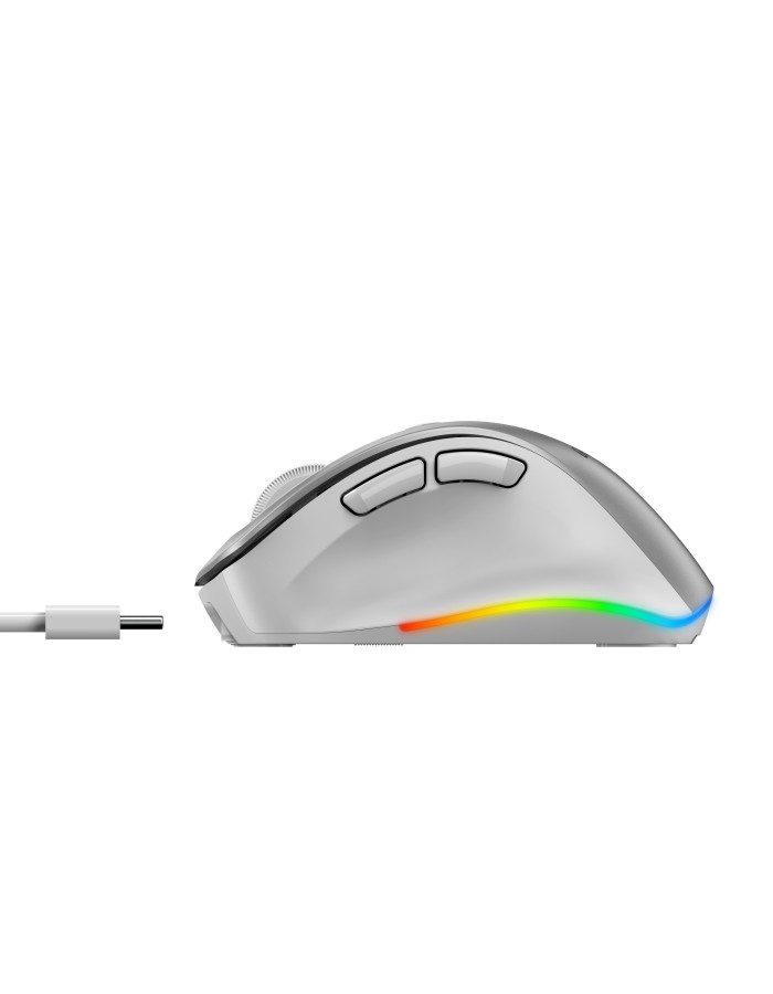 Genius Mouse Wireless+BT Rechargeable Mini RGB Ergo 9000S Pro Silver Genius Mouse Wireless+BT Rechargeable Mini RGB Ergo 9000S Pro Silver