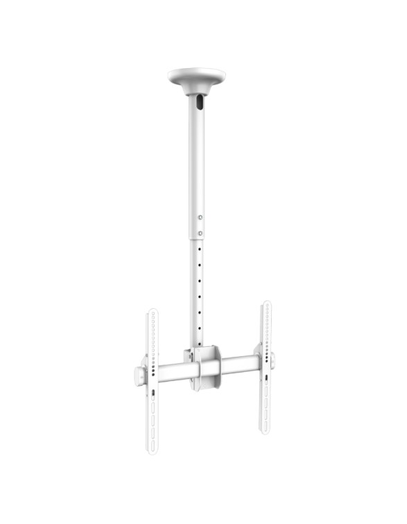 GBC TV Ceiling Mount 40x40 50kg 56-91cm up to 80" White TCM-3280