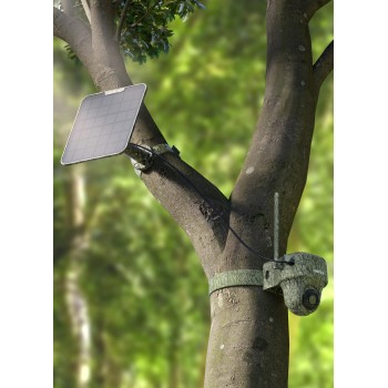 Reolink BP4G Outdoor Battery Camera 4K PTZ GO Ranger PT + Solar