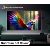 Hisense 65U6NQ 65'' 4K Smart QLED Mini LED TV