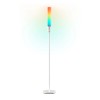 Govee Lamp Floor Smart RGBICWW (Cylinder Floor Lamp) H6078