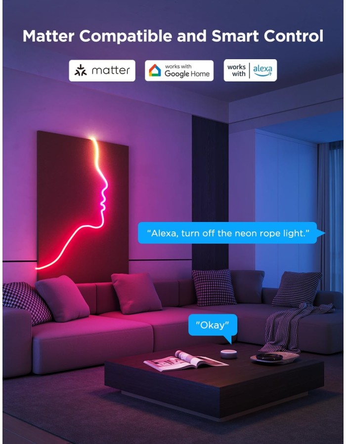Govee Gaming Wall Neon Rope Light 2 5m (Matter) H61D5 Govee Gaming Wall Neon Rope Light 2 5m (Matter) H61D5