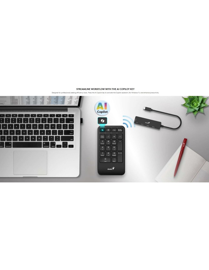 Genius Keyboard Numeric Pad Wireless AI w/Palm Rest NumPad 1000