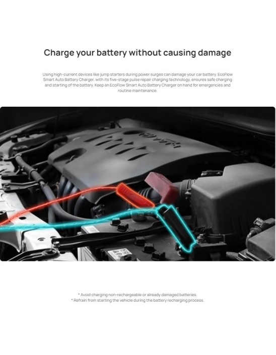 EcoFlow Smart 12V/24V Auto Battery Jump Starter, Maintainer & Charger (works with EcoFlow Power Stations)