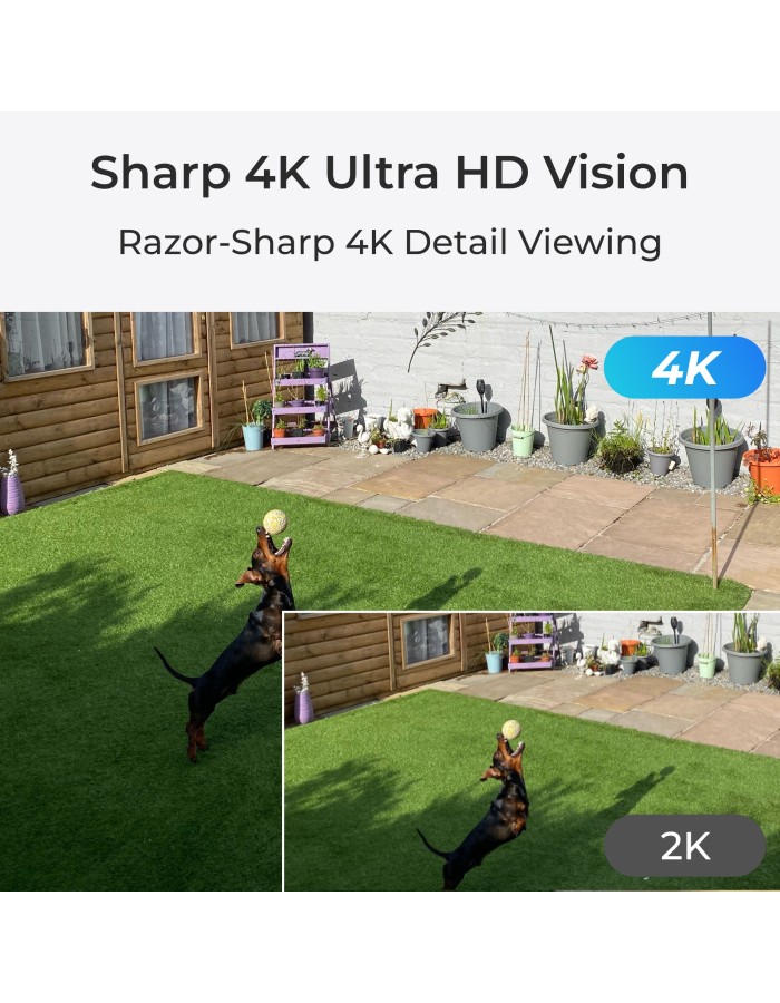Reolink WIFI Outdoor Camera 8MP With Floodlight