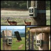 Reolink Camovue Talon Pro S130 4K 4G Wildlife Battery Solar Camera (with Lithium Battery included)