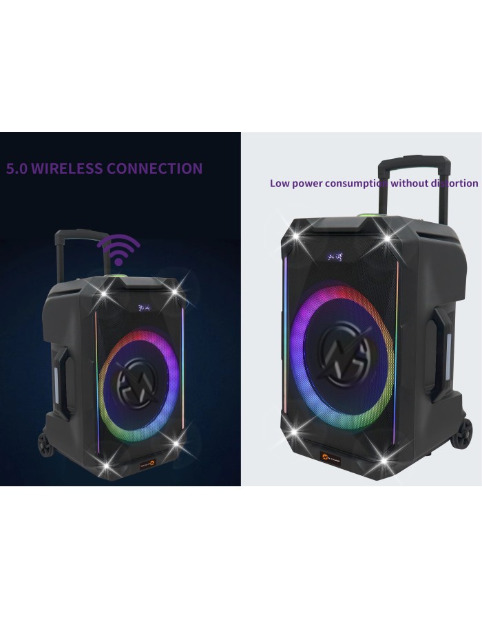N-Gear FLASH1240 12'' Portable Karaoke Speaker with 1x Wireless Mic LED Lights USB & BT
