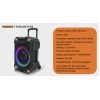 N-Gear FLASH1540 15'' Portable Karaoke Speaker with 1x Wireless Mic LED Lights USB & BT