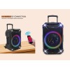N-Gear FLASH1040 10'' Portable Karaoke Speaker with 1x Wireless Mic LED Lights USB & BT