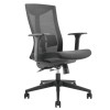 Lumivida Office Chair Ergonomic Mesh Lumbar Support Adjustable Seat/Armrest Black CH05-7