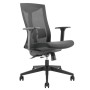 Lumivida Office Chair Ergonomic Mesh Lumbar Support Adjustable Seat/Armrest Black CH05-7