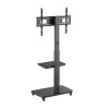 Brateck FS32-46W TV Trolley with Shelf 60x40 1.53m 40kg Brateck FS32-46W TV Trolley with Shelf 60x40 1.53m 40kg