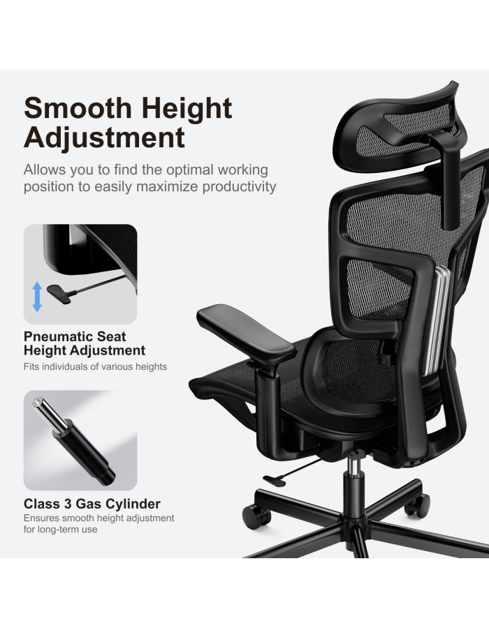 Lumivida Office Chair Ergonomic Mesh Lumbar Support Adjustable Seat/Armrest Black CH10-10