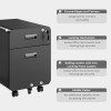 Lumivida File Cabinet Mobile with 2 Lockable Drawers CAB03-1 Lumivida File Cabinet Mobile with 2 Lockable Drawers CAB03-1