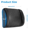 Lumivida Ergonomic Lumbar Support Cushion with Memory Foam & Mesh Cover RLC01-1 Lumivida Ergonomic Lumbar Support Cushion with Memory Foam & Mesh Cover RLC01-1