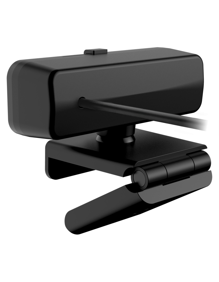 Genius PC Web Camera 2K with Tripod, AF USB-A+C FaceCam 3000AF Genius PC Web Camera 2K with Tripod, AF USB-A+C FaceCam 3000AF