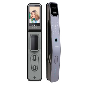 Zudsec Standalone Door Lock Metal with Face/Fingerprint/Key-WiFi