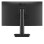 Monitor LG 24MS550 23.8'' FHD IPS 100Hz 5ms, HDMI, AUDIO, 3Y - 24MS550-B