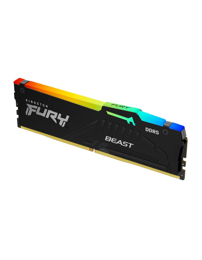 Kingston FURY Beast 16GB DDR5 5600MHz CL40 RGB