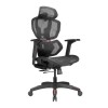 Lumivida Gaming/Office Chair Ergonomic Mesh Lumbar Support Adjustable Seat/Armrest CH09-8 Black