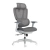 Lumivida Office Chair Ergonomic Mesh Lumbar Support Adjustable Seat/Armrest CH10-26 Grey
