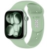 Tech-Protect Silicone Strap for Apple Watch 40/41/42 mm - Light Green Tech-Protect Silicone Strap for Apple Watch 40/41/42 mm - Light Green