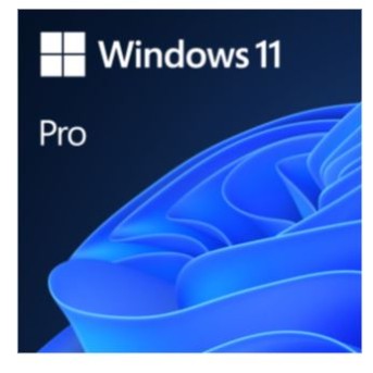 MICROSOFT WINDOWS 11 PROFESSIONAL 64BIT ENGLISH 1PK DSP OEM DVD