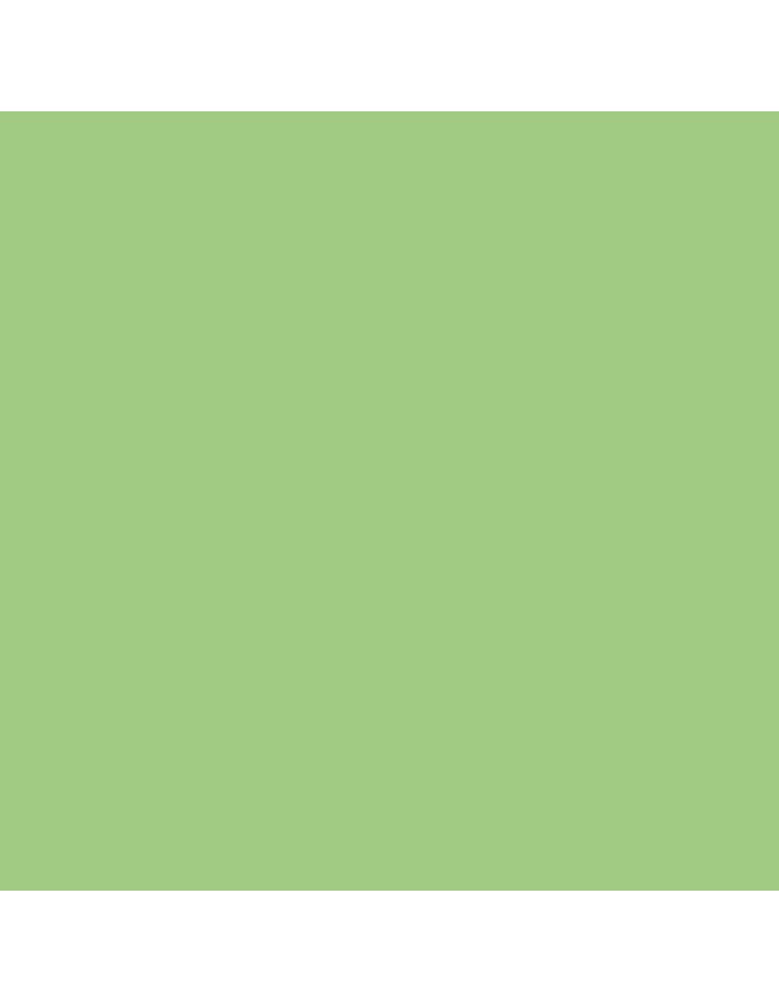BRIEFCARD CARTON A4 160GR 250SH. GREEN